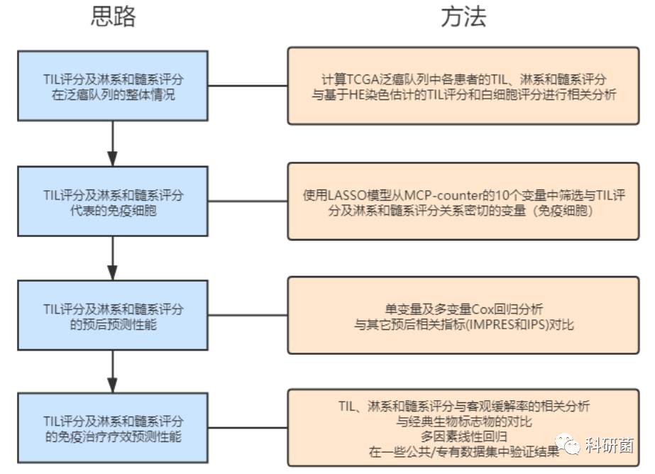 肿瘤浸润淋巴细胞可作为新的抗PD-1疗效的泛癌预测生物标志物