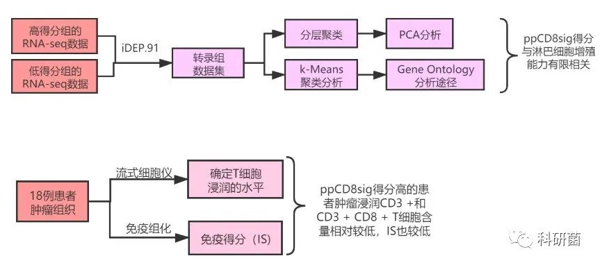 单细胞新替代方案不贵但发了10分(图3) 单细胞新替代方案不贵但发了10分(图3)