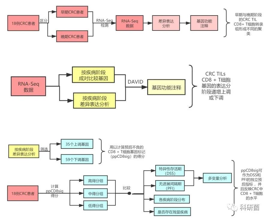 单细胞新替代方案不贵但发了10分(图2) 单细胞新替代方案不贵但发了10分(图2)