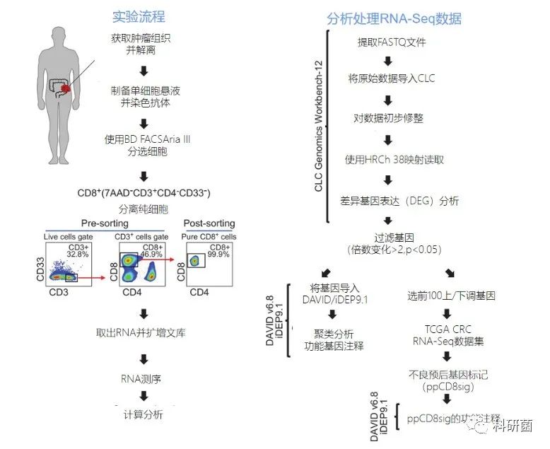 单细胞新替代方案不贵但发了10分