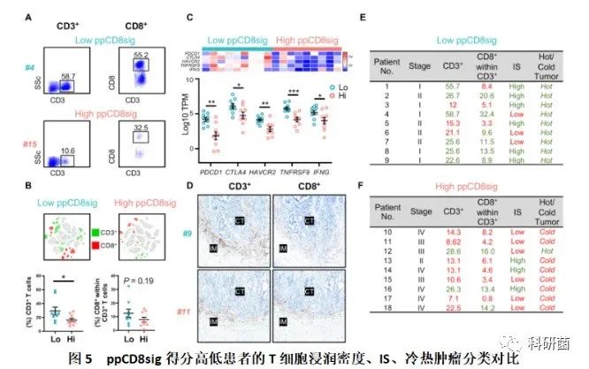 单细胞新替代方案不贵但发了10分(图7) 单细胞新替代方案不贵但发了10分(图7)