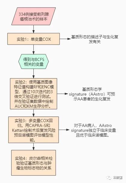 非裔美国人前列腺切除术后前列腺基质复发的计算机衍生基质特征的
