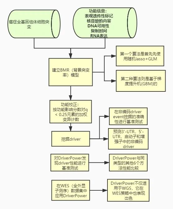 使用DriverPower识别癌症driver基因的综合负荷