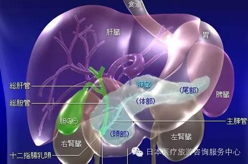 胰腺癌的放射线治疗简介