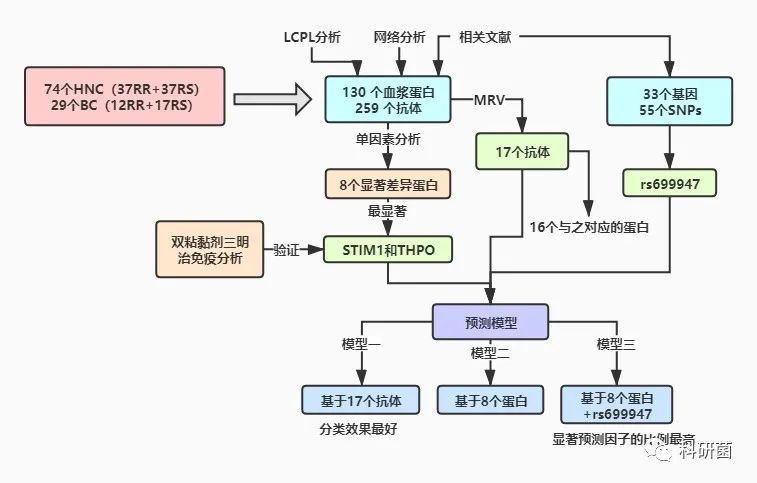 乳腺癌或头颈癌放射敏感性预测因子的分子分析