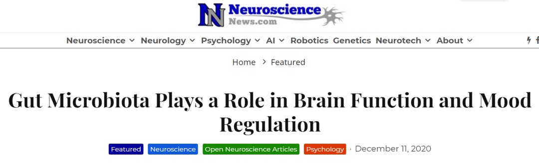 科学研究：健康的肠道菌群有助于正常的大脑功能,