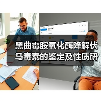 黑曲霉胺氧化酶降解伏马毒素的鉴定及性质研究（图1）