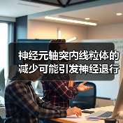 神经元轴突内线粒体的减少可能引发神经退行性疾病（图4）