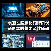 黑曲霉胺氧化酶降解伏马毒素的鉴定及性质研究（图4）