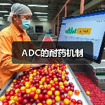 ADC的耐药机制(图1) ADC的耐药机制(图1)