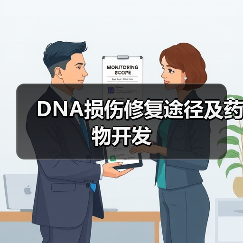 DNA损伤修复途径及药物开发(图2) DNA损伤修复途径及药物开发(图2)