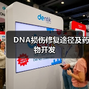 DNA损伤修复途径及药物开发(图1) DNA损伤修复途径及药物开发(图1)