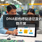 DNA损伤修复途径及药物开发(图3) DNA损伤修复途径及药物开发(图3)