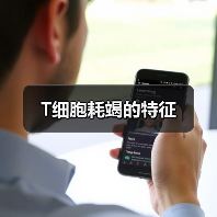 T细胞耗竭的特征（图3）