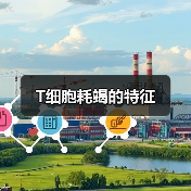 T细胞耗竭的特征（图1）