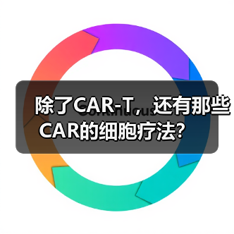 除了CAR-T,还有那些CAR的细胞疗法?(图2) 除了CAR-T,还有那些CAR的细胞疗法?(图2)