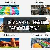 除了CAR-T,还有那些CAR的细胞疗法?(图1) 除了CAR-T,还有那些CAR的细胞疗法?(图1)