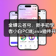 金蝶云苍穹,新手初学者小白PC端java插件开发教学示例(图4) 金蝶云苍穹,新手初学者小白PC端java插件开发教学示例(图4)