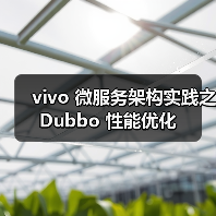 vivo 微服务架构实践之 Dubbo 性能优化(图3) vivo 微服务架构实践之 Dubbo 性能优化(图3)