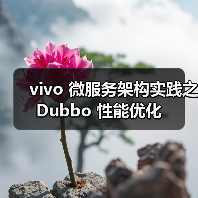 vivo 微服务架构实践之 Dubbo 性能优化(图2) vivo 微服务架构实践之 Dubbo 性能优化(图2)