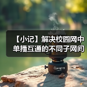【小记】解决校园网中单播互通的不同子网间的 LocalSend 发现问题（图1）