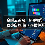 金蝶云苍穹，新手初学者小白PC端java插件开发教学示例（图1）