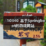 10340_基于Springboot的游戏网站（图3）