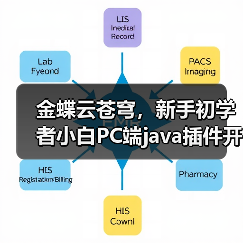 金蝶云苍穹，新手初学者小白PC端java插件开发教学示例（图3）