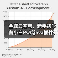 金蝶云苍穹，新手初学者小白PC端java插件开发教学示例（图2）