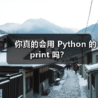 你真的会用 Python 的 print 吗?(图3) 你真的会用 Python 的 print 吗?(图3)