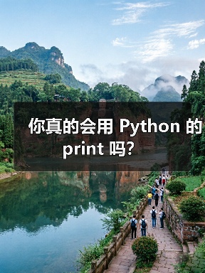 你真的会用 Python 的 print 吗?(图2) 你真的会用 Python 的 print 吗?(图2)