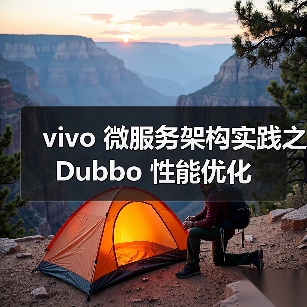 vivo 微服务架构实践之 Dubbo 性能优化(图3) vivo 微服务架构实践之 Dubbo 性能优化(图3)