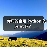 你真的会用 Python 的 print 吗？（图1）