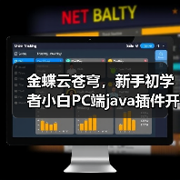 金蝶云苍穹，新手初学者小白PC端java插件开发教学示例（图2）