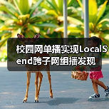 校园网单播实现LocalSend跨子网组播发现（图2）