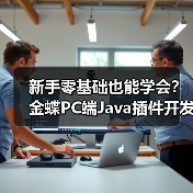 新手零基础也能学会？金蝶PC端Java插件开发实战教学（图1）