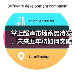 掌上超声市场蓄势待发,未来五年将如何突破应用瓶颈?(图2) 掌上超声市场蓄势待发,未来五年将如何突破应用瓶颈?(图2)