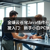 金蝶云苍穹Java插件开发入门:新手小白PC端实操教程(图3) 金蝶云苍穹Java插件开发入门:新手小白PC端实操教程(图3)