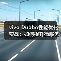 vivo Dubbo性能优化实战:如何提升微服务效率?(图2) vivo Dubbo性能优化实战:如何提升微服务效率?(图2)