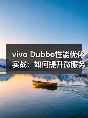 vivo Dubbo性能优化实战:如何提升微服务效率?(图1) vivo Dubbo性能优化实战:如何提升微服务效率?(图1)