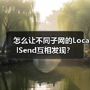 怎么让不同子网的LocalSend互相发现？（图4）