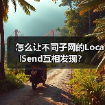 怎么让不同子网的LocalSend互相发现？（图1）