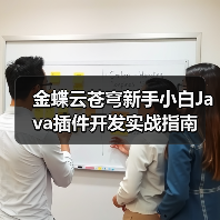 金蝶云苍穹新手小白Java插件开发实战指南（图2）