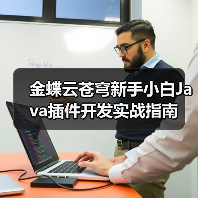 金蝶云苍穹新手小白Java插件开发实战指南（图1）