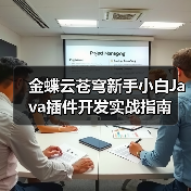 金蝶云苍穹新手小白Java插件开发实战指南（图3）