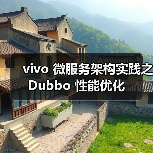 vivo 微服务架构实践之 Dubbo 性能优化（图4）