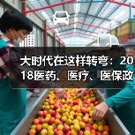 大时代在这样转弯:2018医药、医疗、医保政策回顾(图3) 大时代在这样转弯:2018医药、医疗、医保政策回顾(图3)
