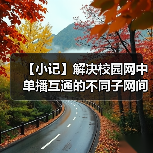 【小记】解决校园网中单播互通的不同子网间的 LocalSend 发现问题（图2）