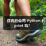 你真的会用 Python 的 print 吗？（图3）