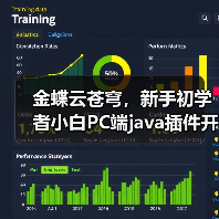 金蝶云苍穹，新手初学者小白PC端java插件开发教学示例（图2）